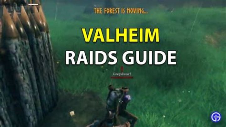 Valheim raids