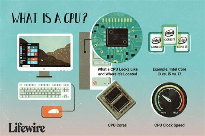 What is a CPU