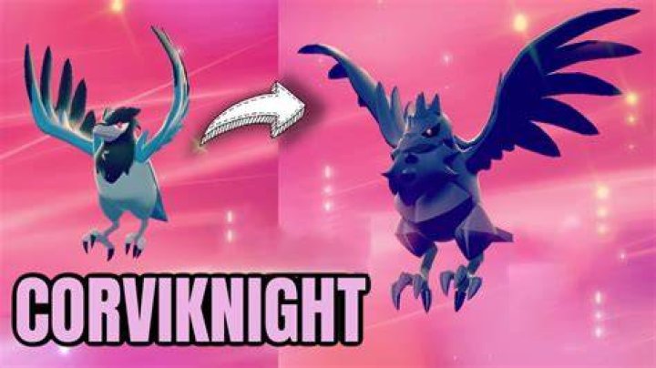 What level does Corvisquire evolve in Pokemon Sword and Shield?