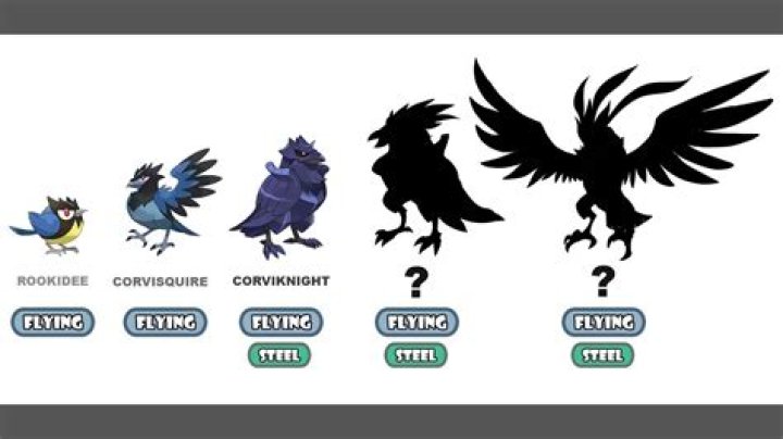 What level does Corvisquire evolve Pokemon