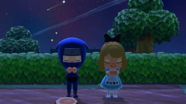 When does an Animal Crossing special NPC spawn?