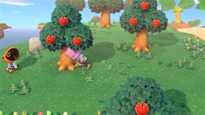 When Does Fruit Grow Back in Animal Crossing New Horizons
