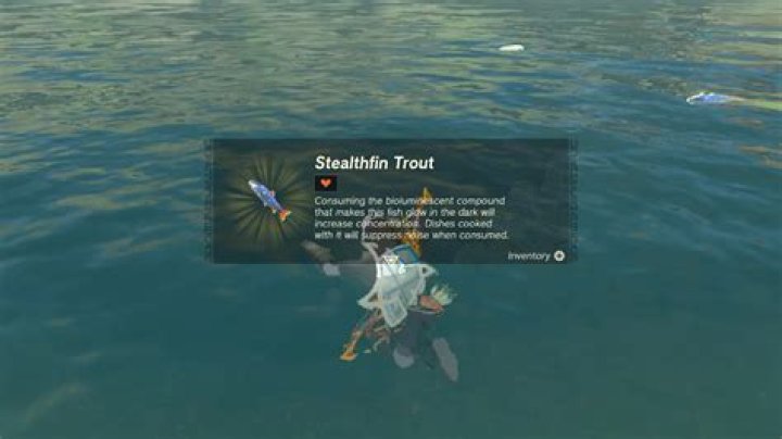 Where to Farm Stealthfin Trout in Zelda Tears of the Kingdom (TOTK)