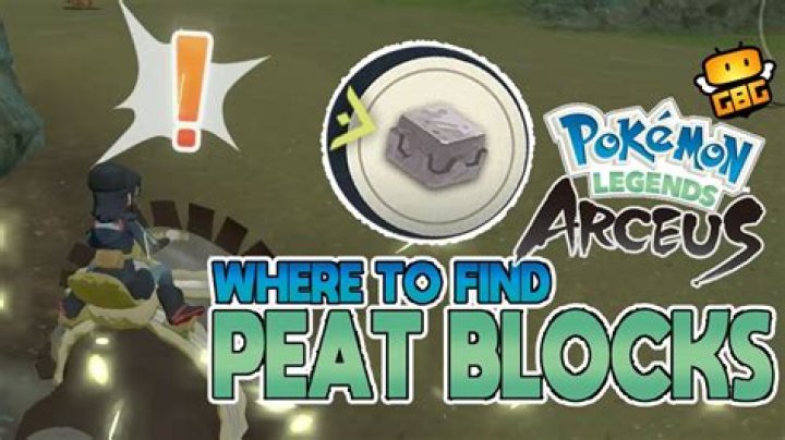Where to Find Peat Block in Pokemon Legends: Arceus | All Peat Block Locations