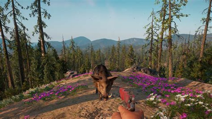 Why is Far Cry New Dawn cheap? | Is Far Cry New Dawn a DLC?