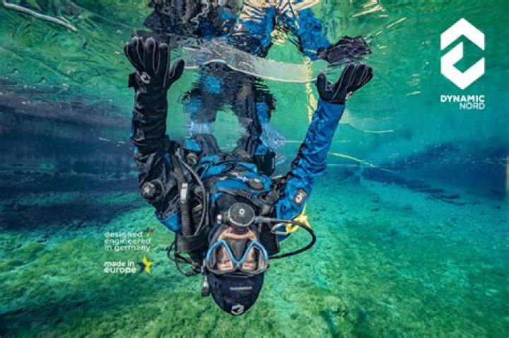 World of Diving News, Guides, Walkthrough, Screenshots, and Reviews