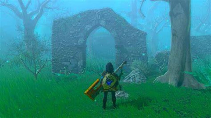 Zelda: Tears of the Kingdom Lost Woods: How to Get Past the Fog in Great Hyrule Forest